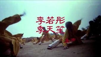 小醉拳电影在线观看,重温经典武侠喜剧，笑中带拳！